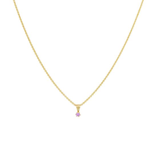 Gouden hanger amethist paars JKP20006
