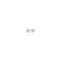 Blush gouden oorsteker zirk 7212YZI