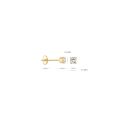 Blush gouden oorsteker zirk 7212YZI