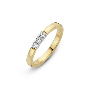 Gouden ring bicolor memoire 3x0.03H/Si mt16.5 706110309