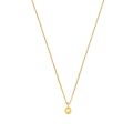 Gouden collier anker 0.8mm hgmunt hart dicht 41-43-45cm YI-HGMUNTHEART