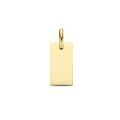 Gouden hanger plaatje 7x19mm 4026546