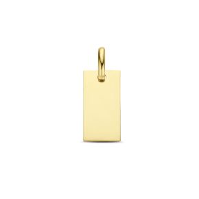 Gouden hanger plaatje 7x19mm 4026546