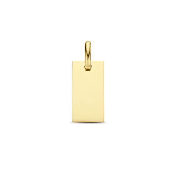 Gouden hanger plaatje 7x19mm 4026546