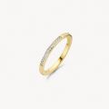 Gouden ring 0.06crt mt54 1630BDI/54