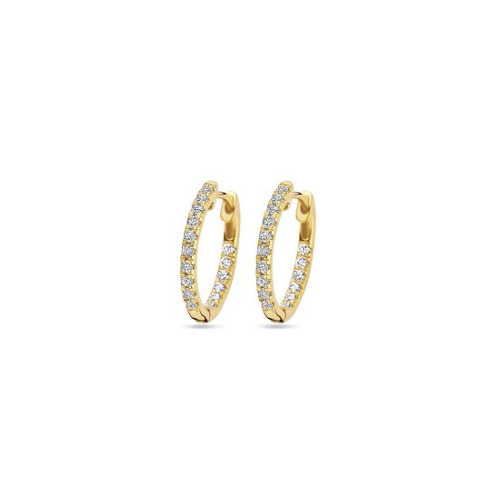 Gouden oorringen 2x16.5mm LG 0.46GH/SI 4031985