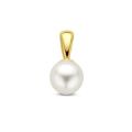Gouden hanger met zoetwaterparel 5.5mm 4002204