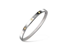 Boccia bangle titanium met geel en dia 0.015 03074-03