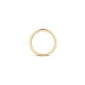 Gouden ring zirkonia mt 54 1119BZI/54 