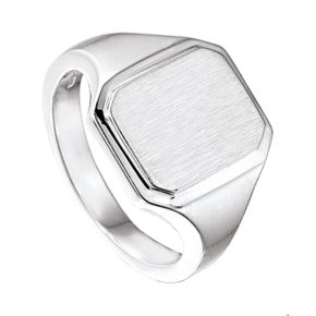 Zilveren zegelring mt19.5 1014482