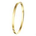 Gouden bangle zilveren kern 4x61mm 9gr 5000138