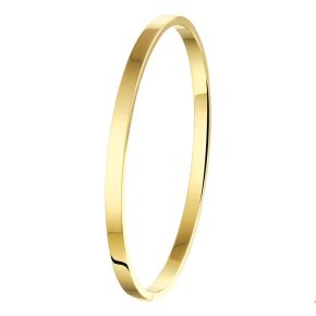 Gouden bangle zilveren kern 4x61mm 9gr 5000138