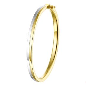 Gouden bangle bicolor 5x60mm 4207610