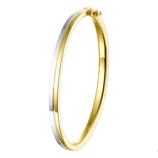 Gouden bangle bicolor 5x60mm 4207610