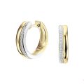 Gouden oorringen bicolor 0.09 H/SI 4208265