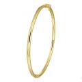 Goud/zilver bangle 3x60mm 4gr 5000183