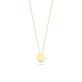 Gouden collier plaatje 3080YGO