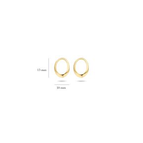 Blush gouden oorbelbedels 9050YGO