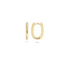 Blush gouden oorringen 7219YGO 