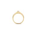 Gouden ring bicolor zirkonia mt54