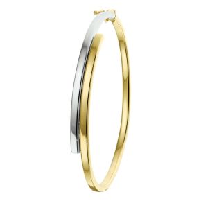Gouden bangle bicolor 6.5x60mm 7.8gr 4207612