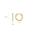 Gouden oorringen bol 7230YGO