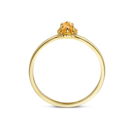 Gouden ring citrien mt 54 1226YCI/54