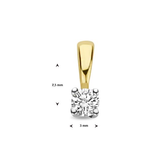 Gouden hanger bicolor 0.10H/SI 4208893