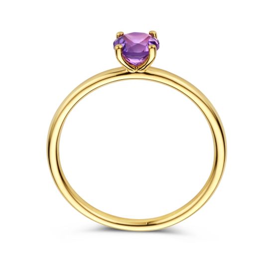 Gouden ring amethist 5mm mt17.5 4027544