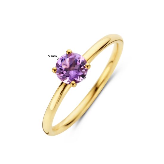 Gouden ring amethist 5mm mt17.5 4027544