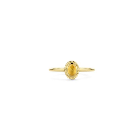Gouden ring met parelmoer en citrien mt 54  1239YMC/54