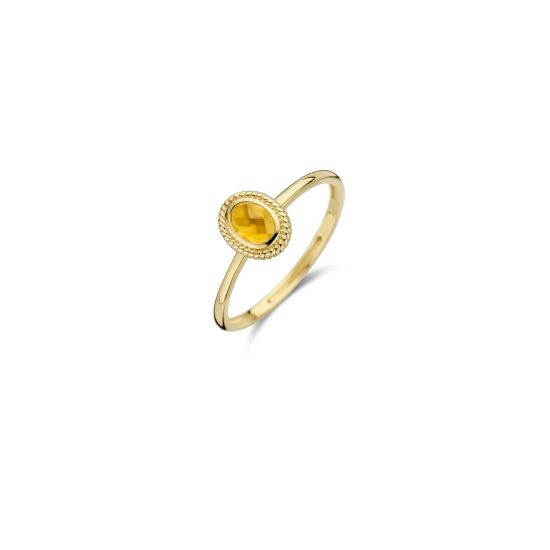 Gouden ring met parelmoer en citrien mt 54  1239YMC/54