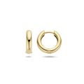 Blush gouden oorringen 7316YGO
