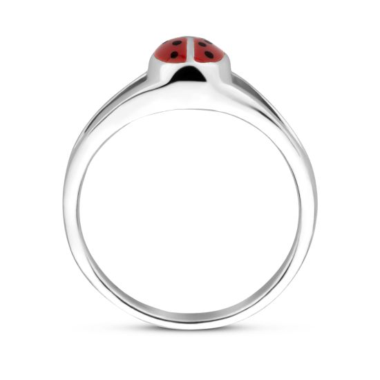 Ring lieveheersbeestje