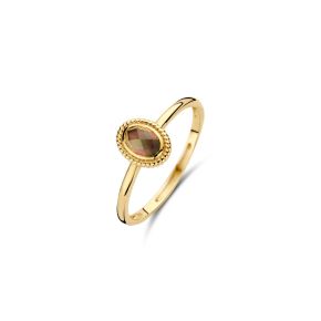 Gouden ring met parelmoer en pure kwarts mt 54 1239YBQ/54