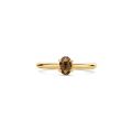 Gouden ring rookkwarts mt 54 1242YSQ/54