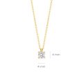 Gouden collier LG 0.20 LG3001Y